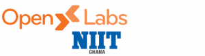 NIIT Ghana Interns